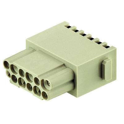 Ein beige Kunststoffstecker mit zehn kreisförmigen Anschlüssen in zwei Reihen, häufig in Elektroniksystemen verwendet.