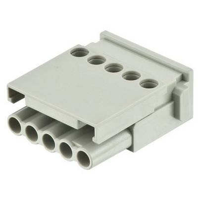 Ein grauer Kunststoffstecker mit fünf Löchern und fünf Stiften, geeignet für elektrische Verbindungen.