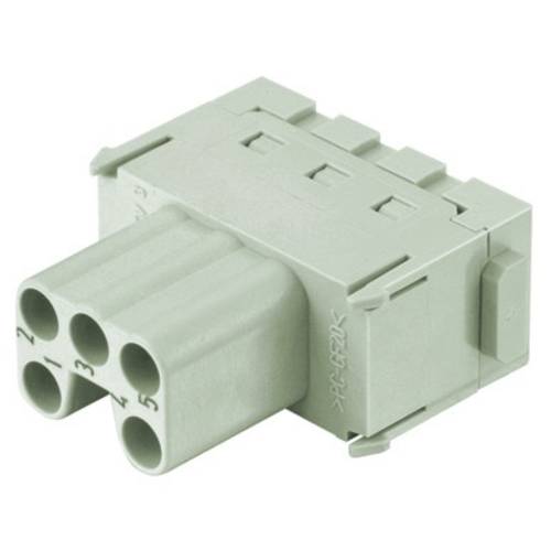 HARTING Han ES Modul Buchseneinsatz (F) Käfigzugfederanschluss, 5-polig 400V, 16A - 1 Stück