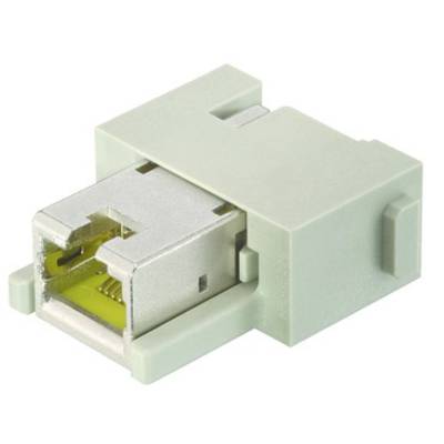 Grüner RJ45-Keystone-Kupplungsadapter für Netzwerkkabelverbindungen, zeigt die Ethernet-Anschlussbuchse.