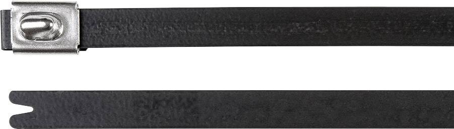 Zwei schwarze Kabelbinder, einer mit Metallschloss, auf weißem Hintergrund.
