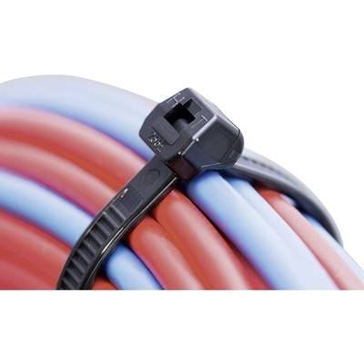 Nahaufnahme eines Kabelbündels, gesichert mit einem schwarzen Kabelbinder. Kabel sind rot und blau, eng gebündelt.