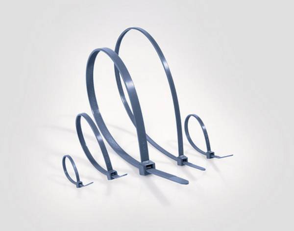 HellermannTyton 111-01665 MCTPP30R-PPMP-BU Kabelbinder   Blau  100 St.
