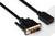 Ein DVI-auf-HDMI-Adapterkabel verbindet digitale Videoquellen mit HDMI-kompatiblen Displays.