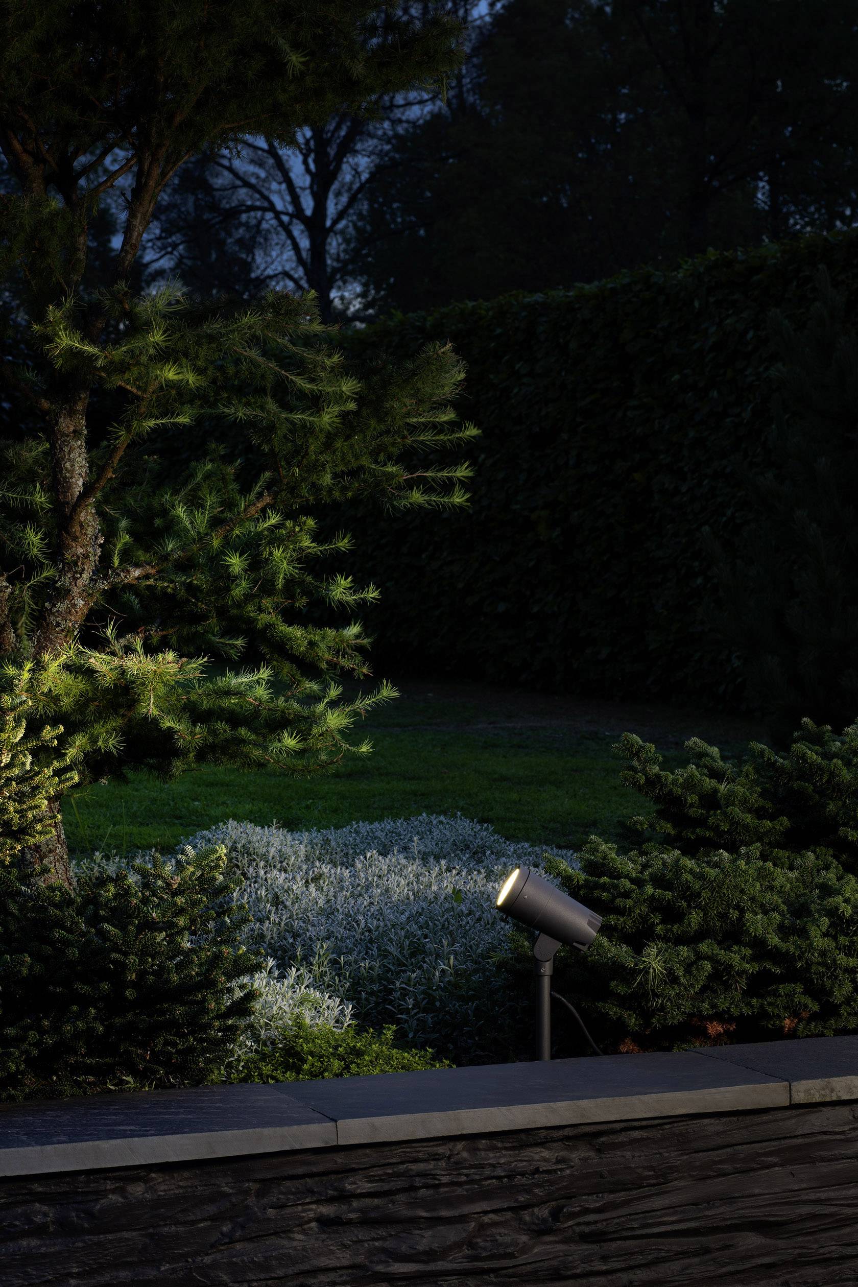 Ein kleiner Garten bei Dämmerung, von einer Bodenleuchte beleuchtet, die Bäume und Sträucher hervorhebt.