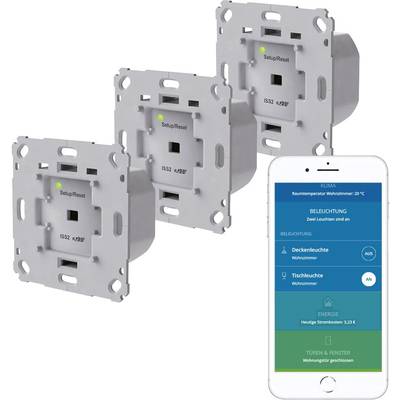 Innogy SmartHome 10290157 Paket Unterputz LIchtschalter kaufen