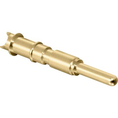 Ein goldfarbener elektrischer Kontaktstift mit mehreren Stufen.