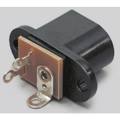 'Ein schwarzer elektrischer Steckverbinder mit metallischen Anschlüssen und einer rechteckigen Basis.'