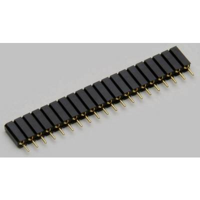 TRU COMPONENTS Buchsenleiste (Präzision) Anzahl Reihen: 1 Polzahl je Reihe: 4 TC-2506452 1 St.