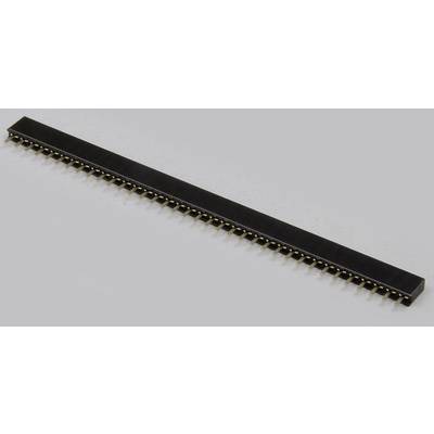 Ein schwarzer GPIO-Steckleistenstreifen mit mehreren goldenen Pins für den Anschluss an elektronische Geräte oder Platinen.