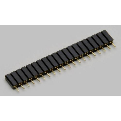 TRU COMPONENTS Buchsenleiste (Präzision) Anzahl Reihen: 1 Polzahl je Reihe: 36 TC-2506461 1 St.