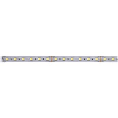 Eine LED-Lichtleiste mit regelmäßig angeordneten gelben und weißen Dioden auf einem schmalen, flexiblen Streifen.
