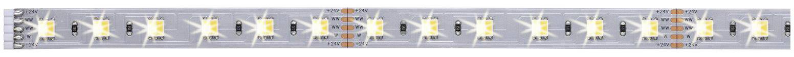 Eine LED-Lichtleiste mit weißen und orangefarbenen LED-Dioden, gleichmäßig verteilt auf einer schmalen, grauen Platte.