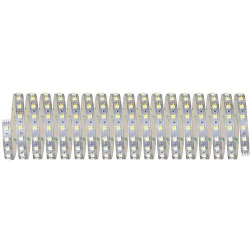 Paulmann MaxLED 70565 LED-Streifen mit Stecker 24 V 10 m Warmweiß, Neutralweiß, Tageslichtweiß 1 St.