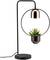 Eine moderne Tischlampe mit rundem Rahmen, in dem eine kleine Pflanze hält. Kupferfarbene Lampe hängt über der Pflanze.