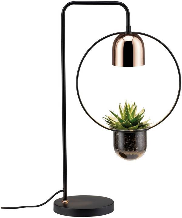 Paulmann Pflanzenlampe Fanja 18 cm 230 V GU10 20 W EEK: A (A - G) 1 St.