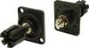 Cliff CP303010X Lautsprecher-Steckverbinder Schwarz, Schwarz 1 St.