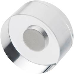 Image of Magnetoplan Neodym Magnet Acryl (Ø x H) 30 mm x 13 mm Transparent 4 St. 1680030