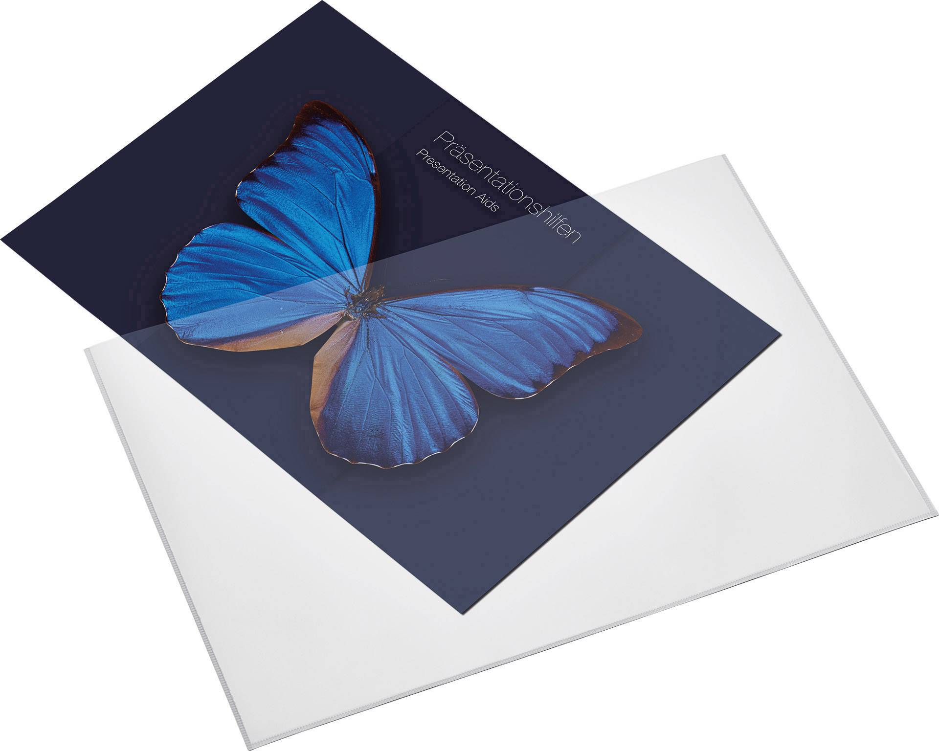 Eine Broschüre mit einem großen blauen Schmetterling auf dunklem Hintergrund, auf dem 'Präsentationsleitfaden' steht.