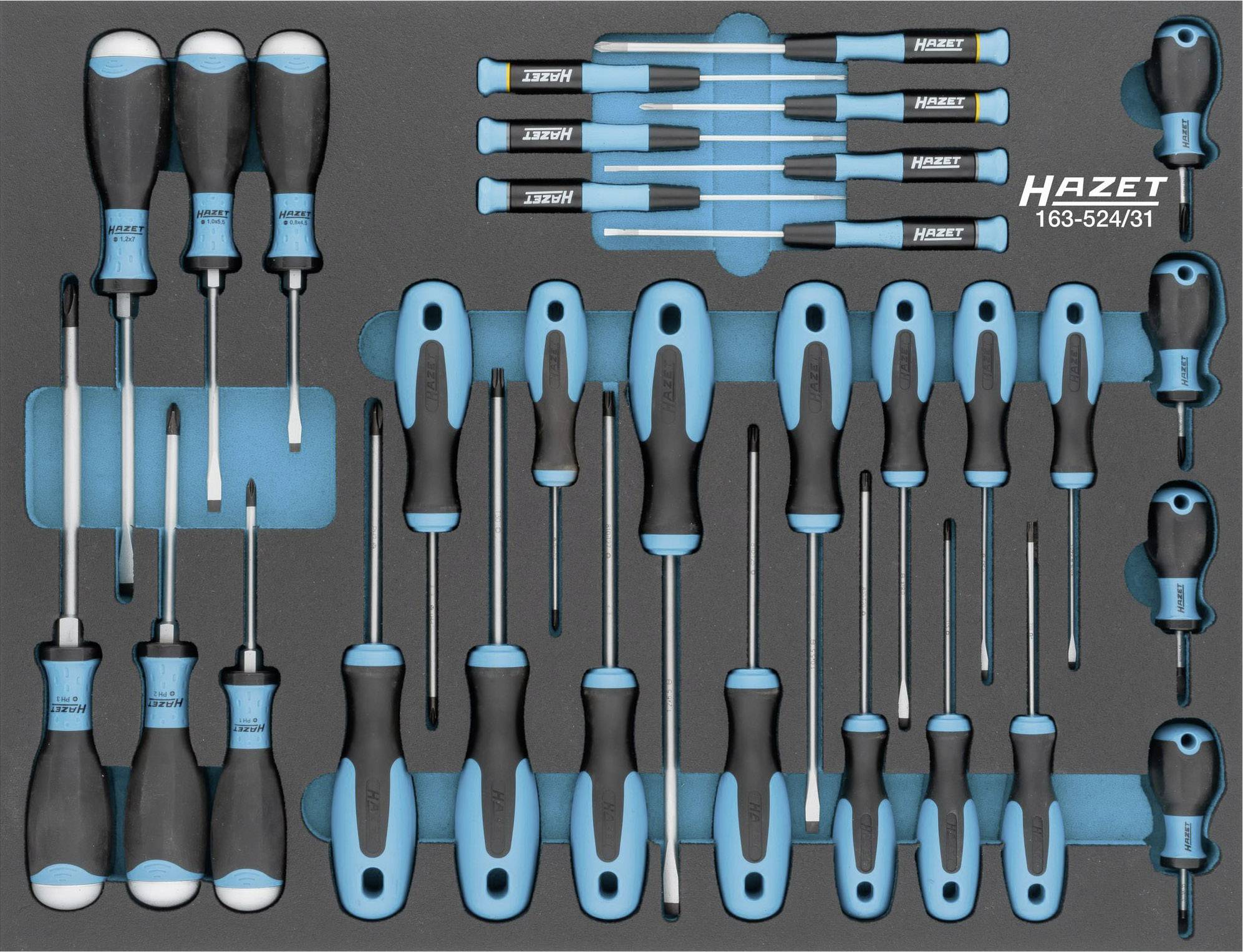 HAZET Werkzeug Module 163-524/31