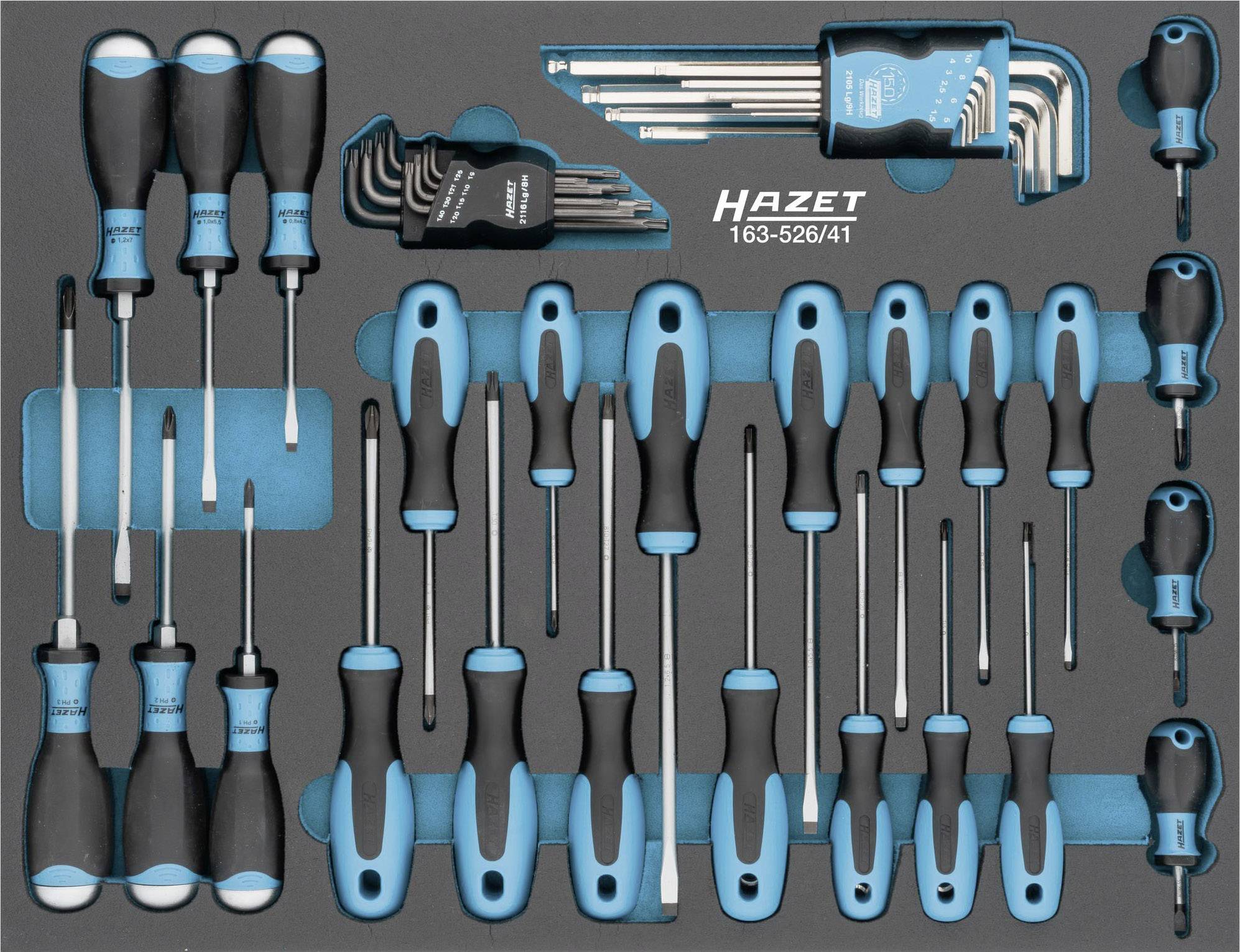 HAZET Werkzeug Module 163-526/41