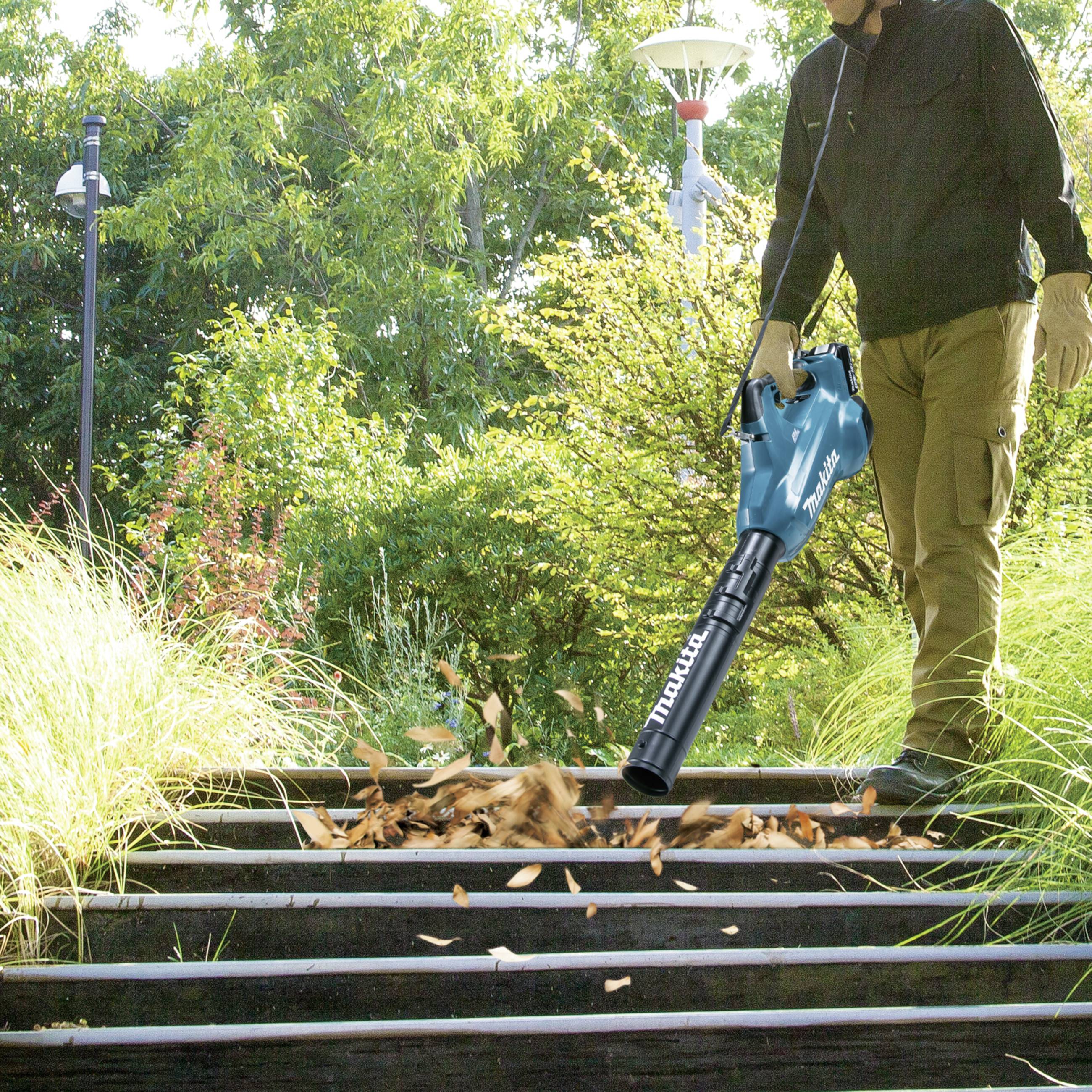 Eine Person verwendet einen blauen Laubbläser, um Blätter von einer Treppe in einem bewaldeten Gartenbereich zu entfernen.