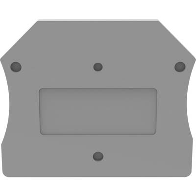 Eine graue rechteckige Metallplatte mit abgerundeten Ecken und fünf Bohrlöchern.