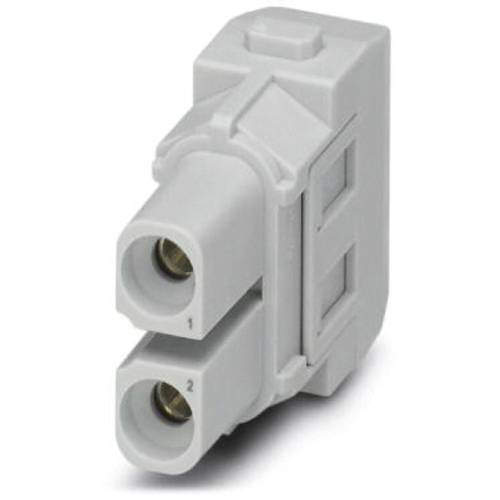 Phoenix Contact 1417387 Kontakteinsatzmodul Axialschraubanschluss 2 St.