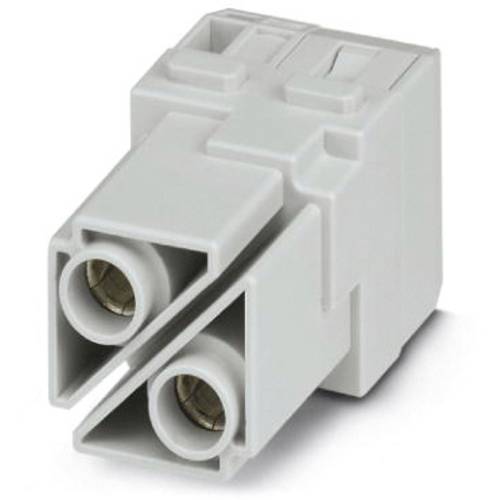 Phoenix Contact 1417390 Kontakteinsatzmodul Axialschraubanschluss 2 St.