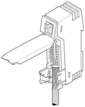 Illustration eines Netzwerkanschlusses mit aufgeklappter Abdeckung, zeigt interne Verkabelung und Anschlussdetails.