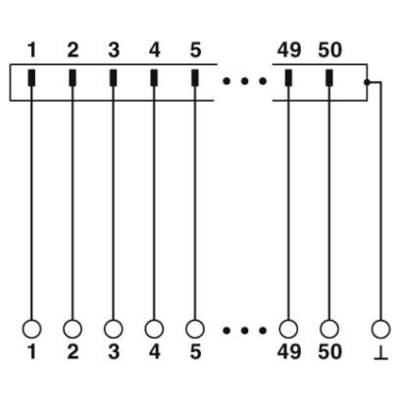 Schaltschema einer Mehrfach-Steckverbindung mit nummerierten Anschlüssen 1 bis 50, die auf zwei Reihen verteilt sind.