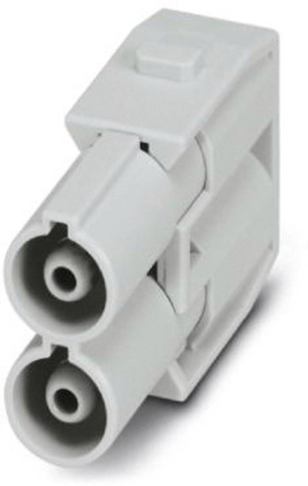 Phoenix Contact 1417297 Kontakteinsatzmodul  2 Axialschraubanschluss 2 St.