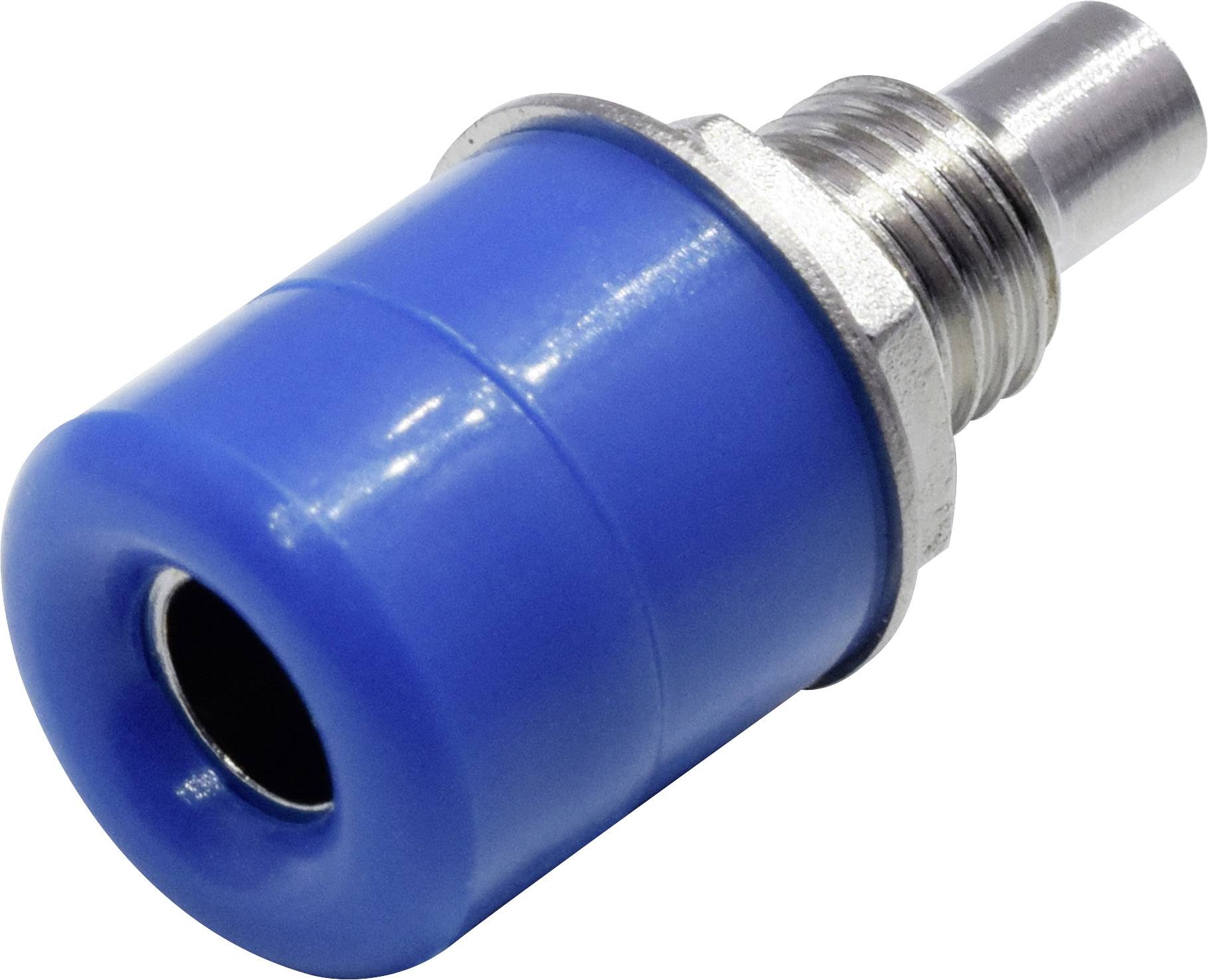 Blauer Kunststoffstecker mit Metallgewinde und Öffnung an der Spitze.