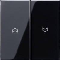 Jung Wippe Symbole sw LS 995 P SW-0