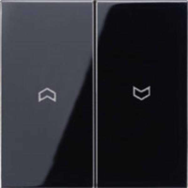 Jung Wippe Symbole sw LS 995 P SW