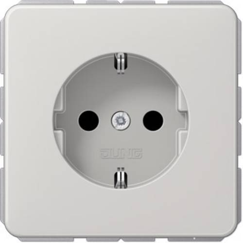 Jung 1fach Einsatz Schutzkontakt-Steckdose Grau CD1520LG 1 St.