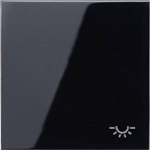 Jung 1fach Abdeckung Wechselschalter, Taster, Tastersymbol "Licht" Schwarz LS990LSW 1 St.