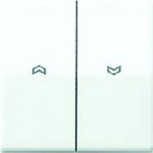 Jung 1fach Einsatz Taster Alpinweiß AS591-5PWW 1 St.