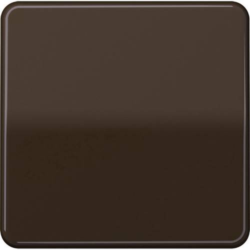 Jung 1fach Abdeckung Wechselschalter, Taster Braun CD590BR 1 St.