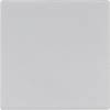 JUNG LS 990 LG - Grau - Wippe