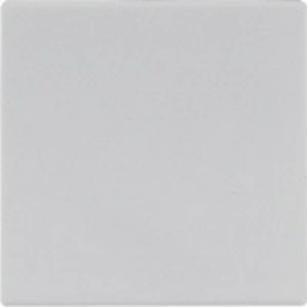 JUNG LS 990 LG - Grau - Wippe