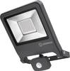 LEDVANCE ENDURA® FLOOD Sensor Cool White L 4058075206786 LED-Außenstrahler mit Bewegungsmelder 50 W Leuchtfarben: Neutralweiß