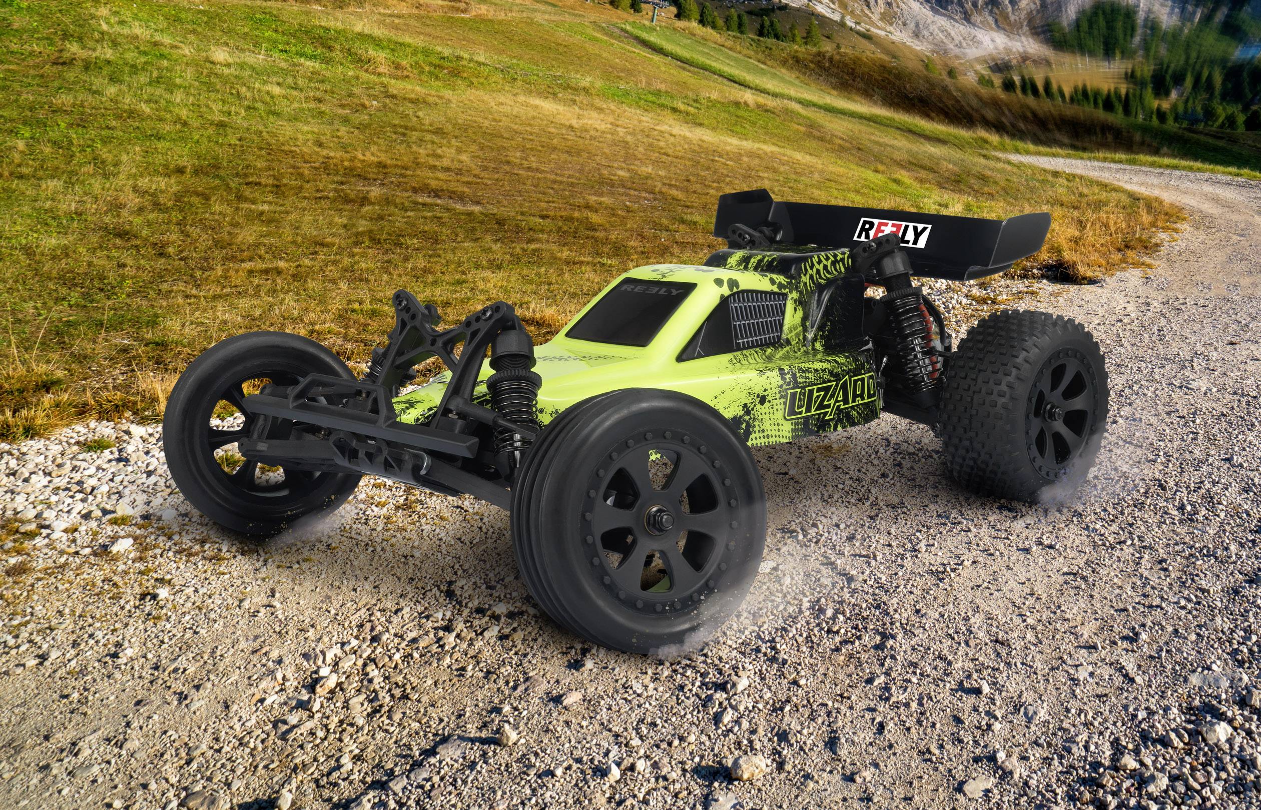 Reely LIZARD Brushed 1:10 RC Modellauto Elektro Buggy 100% RtR 2,4 GHz inkl. Akku und Ladekabel-9