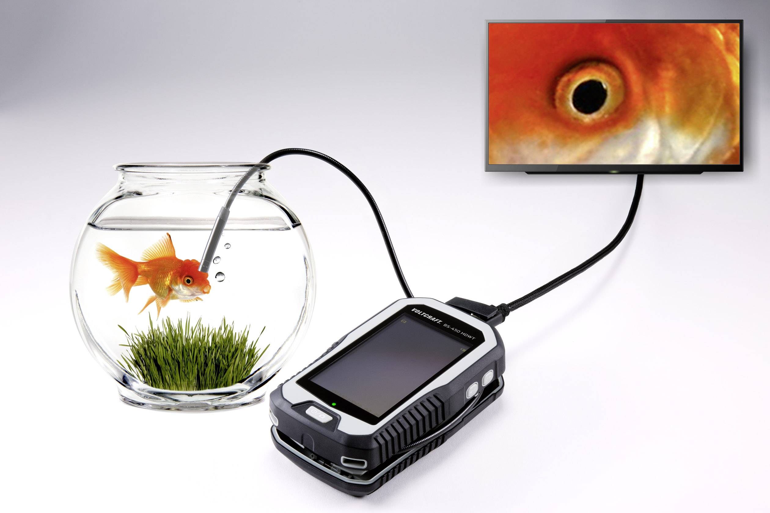 Ein Aquarium mit einem Goldfisch ist an ein Gerät angeschlossen, das ein vergrößertes Bild des Fisches auf einem Bildschirm zeigt.