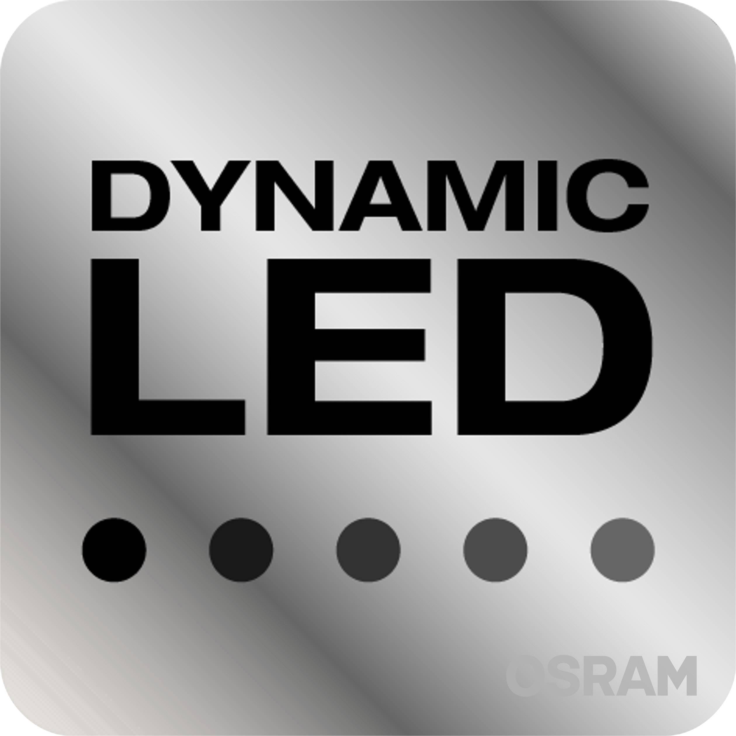 'Dynamic LED' steht in schwarzer Schrift auf einem metallisch glänzenden Hintergrund. Unten befinden sich fünf schwarze Punkte.