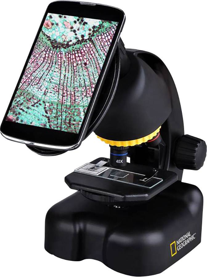 Mikroskop mit Smartphone-Halterung zeigt ein vergrößertes Bild eines pflanzlichen Querschnitts auf dem Bildschirm.