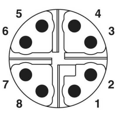 Diagramm einer runden Steckverbinderbuchse mit acht nummerierten Pins, jeweils zwei Pins gegenüberliegend.