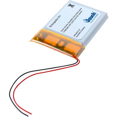 Lithium-Ionen-Akku mit zwei Drähten, einer rot, einer schwarz, und Aufschrift 'Rechargeable Li-Po'.