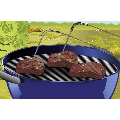 'Drei Steaks auf einem runden Grill mit Thermometern im Freien. Gräser und Bäume im Hintergrund.'