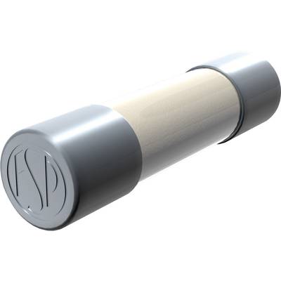 Ein zylindriger Sicherungseinsatz mit silbernen Endkappen und einem farblosen Mittelteil aus Glas oder durchsichtigem Material.